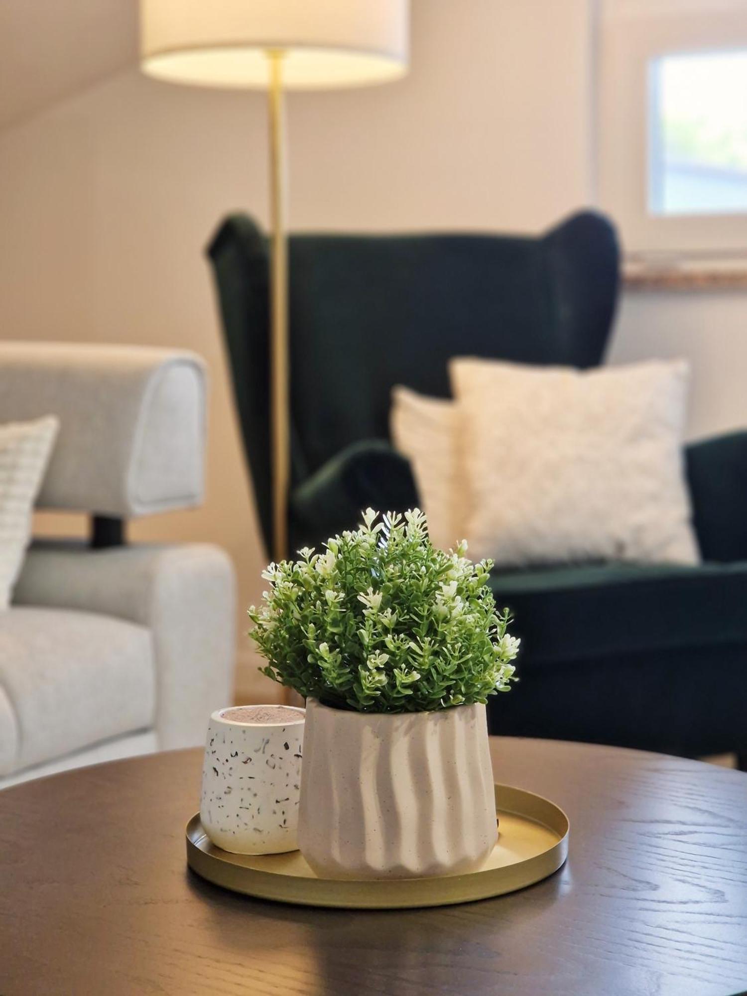 Apartments Jasna Rovinj Dış mekan fotoğraf