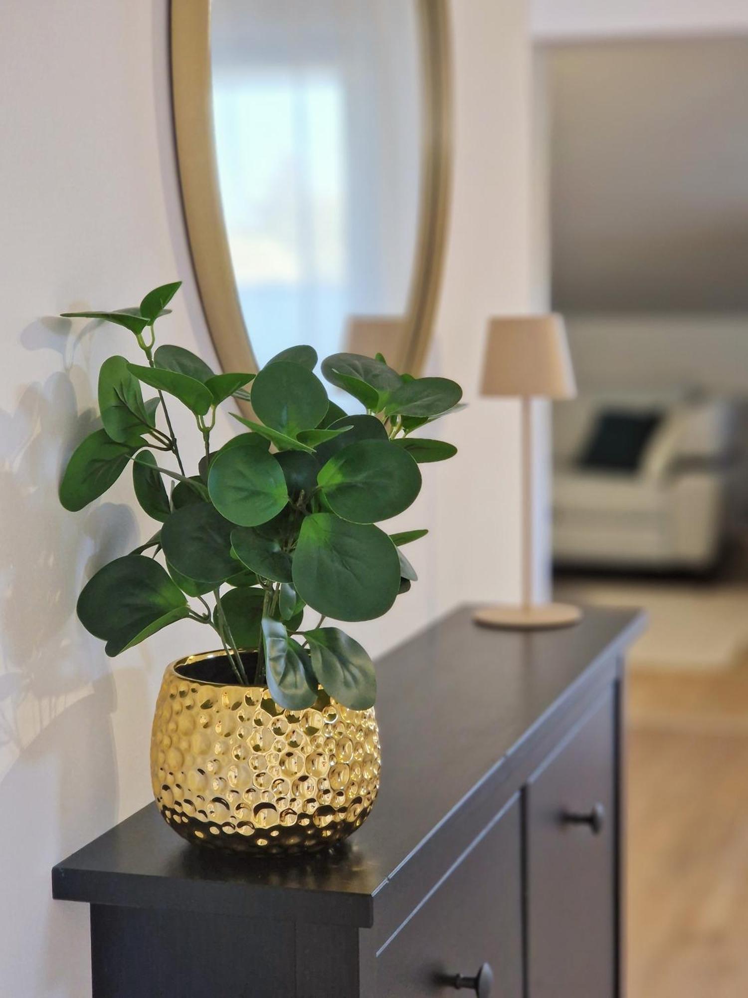 Apartments Jasna Rovinj Dış mekan fotoğraf